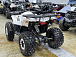 Квадроцикл PROMAX WILD 2.0 190 LUX в Набережных Челнах