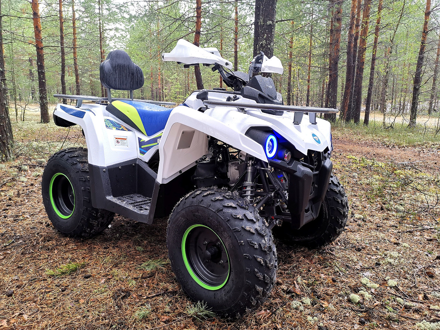 Квадроцикл PROMAX RENEGADE 280 (2025) в Набережных Челнах