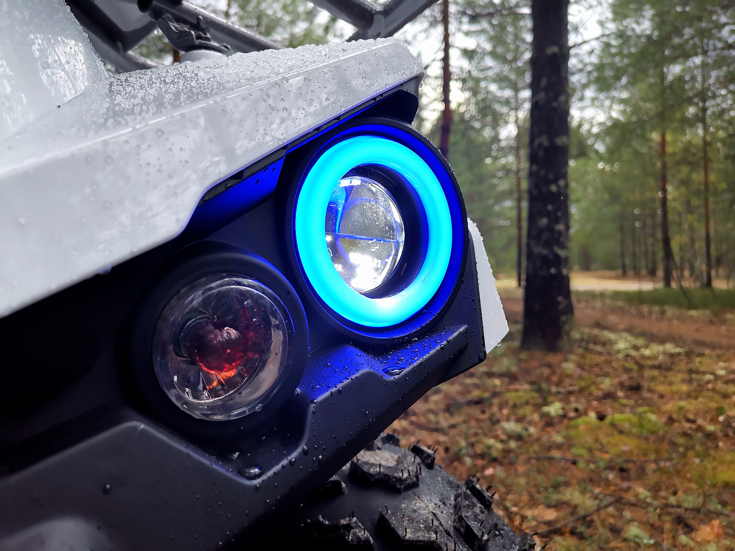 Квадроцикл PROMAX RENEGADE 280 (2025) в Набережных Челнах