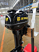 Лодочный мотор STELS 9.9HP в Набережных Челнах