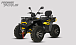 Квадроцикл PROMAX TAURUS 300 MAX-PRO LONG в Набережных Челнах